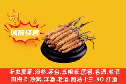 九江回收冬虫夏草